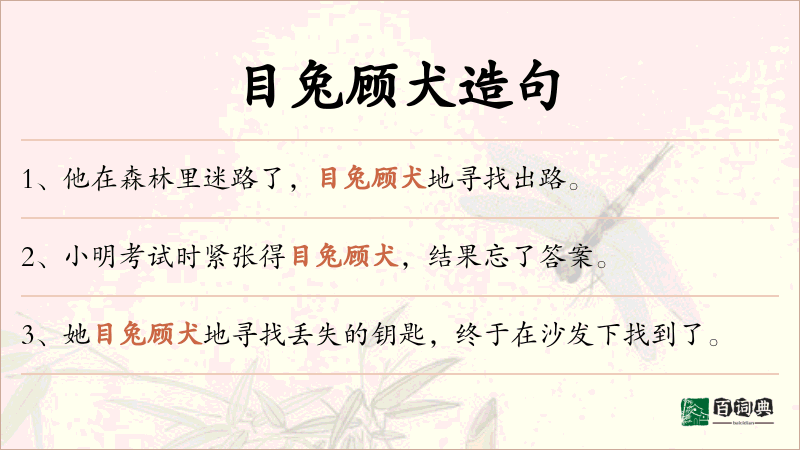 目兔顾犬