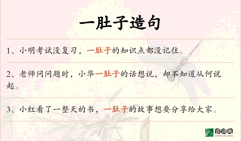 一肚子