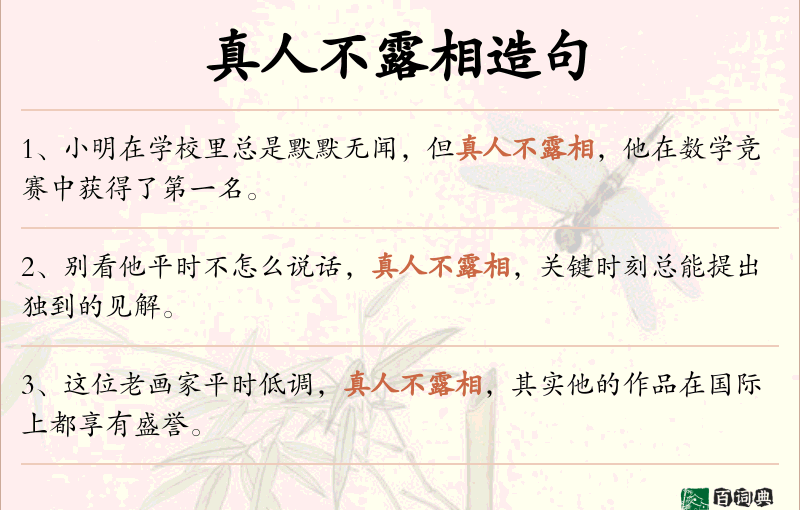 真人不露相