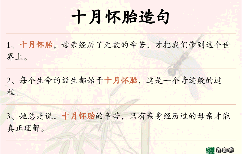 十月怀胎