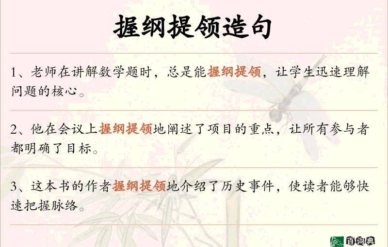 握纲提领