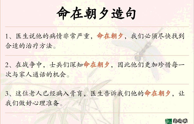 命在朝夕