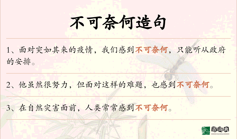 不可奈何