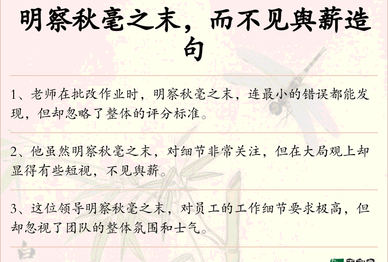 明察秋毫之末，而不见舆薪
