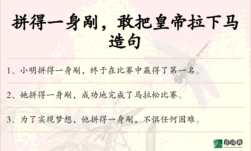 拼得一身剐，敢把皇帝拉下马