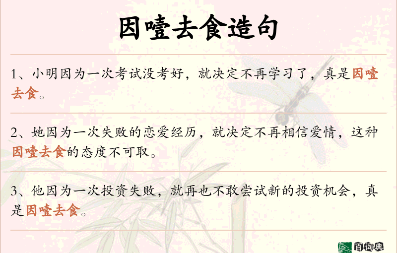 因噎去食