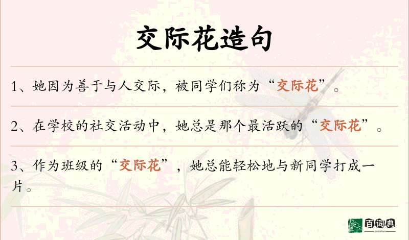 交际花
