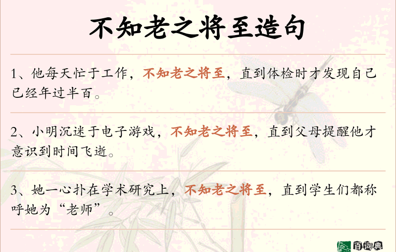 不知老之将至