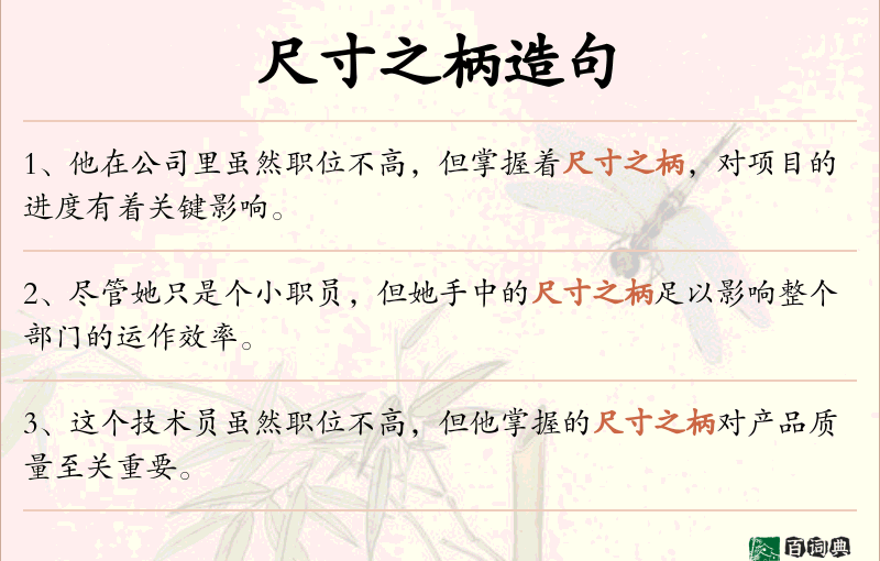 尺寸之柄