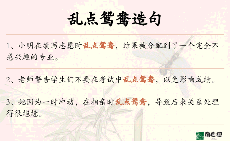 乱点鸳鸯