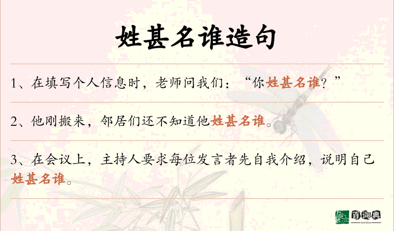 姓甚名谁
