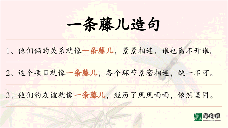 一条藤儿