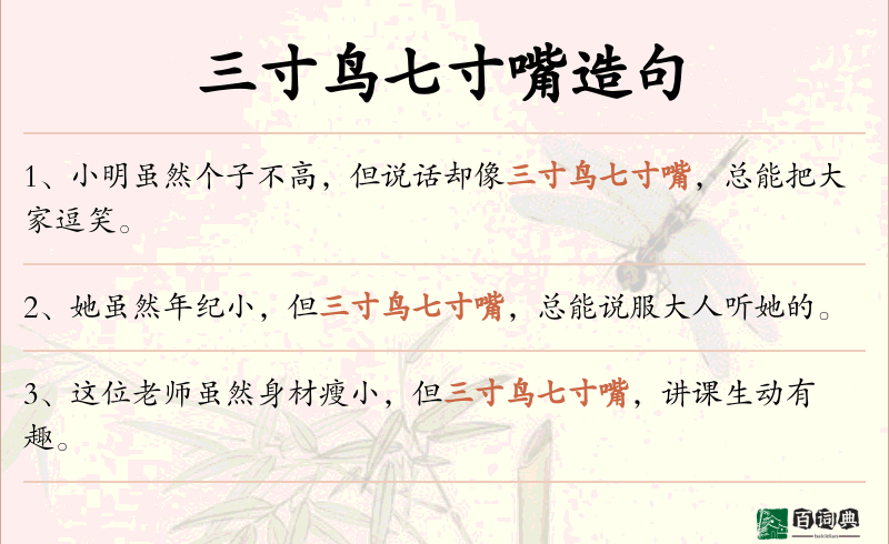 三寸鸟七寸嘴