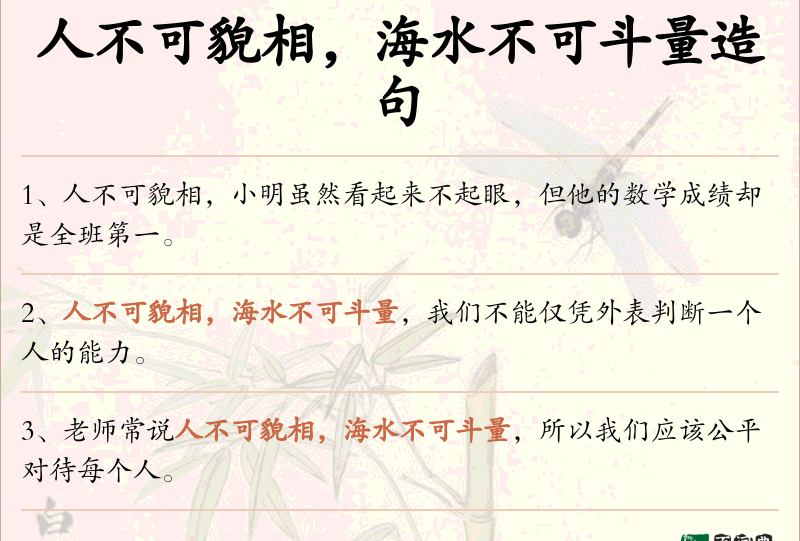 人不可貌相，海水不可斗量