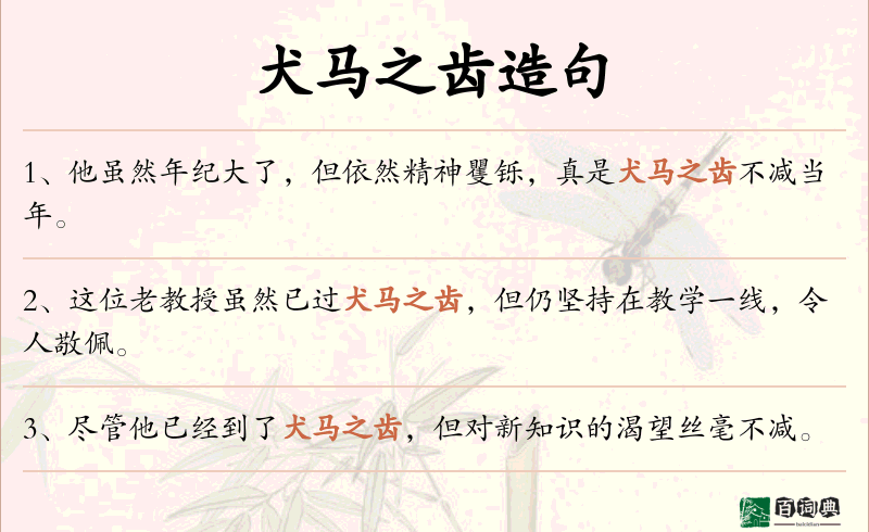 犬马之齿