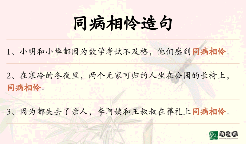 同病相怜