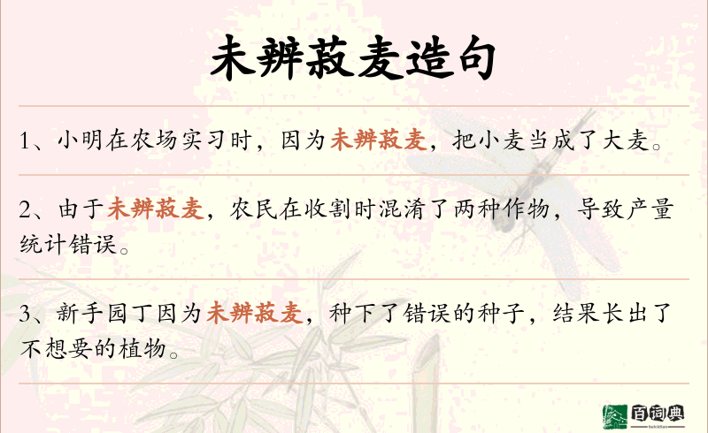 未辨菽麦