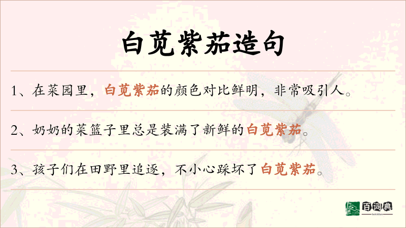 白苋紫茄