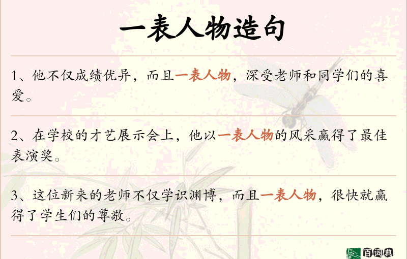 一表人物