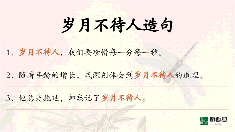 岁月不待人