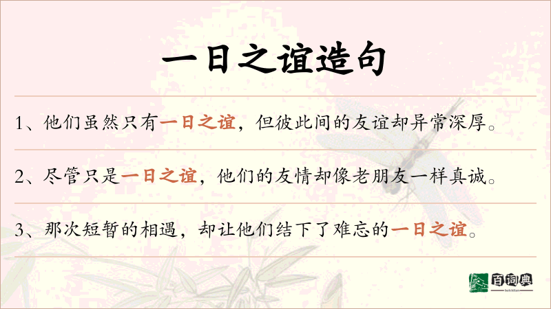 一日之谊