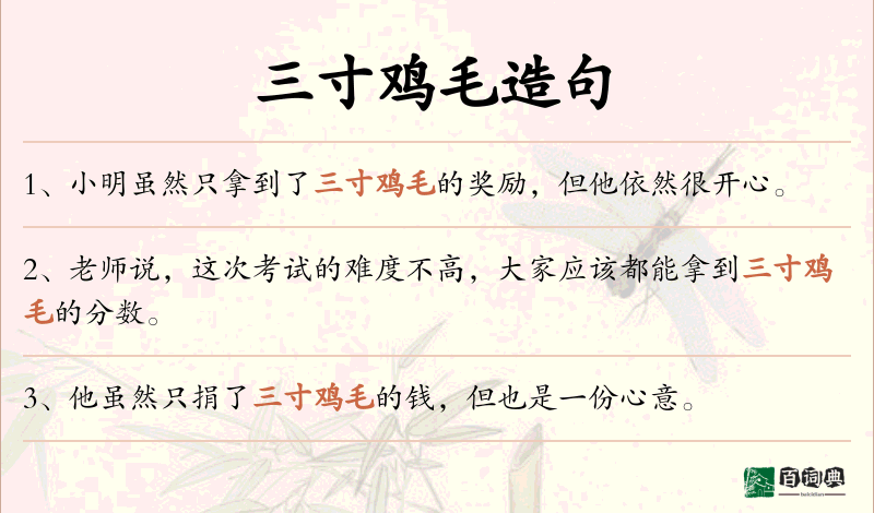 三寸鸡毛