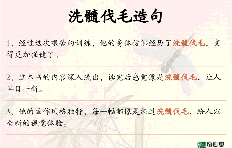 洗髓伐毛