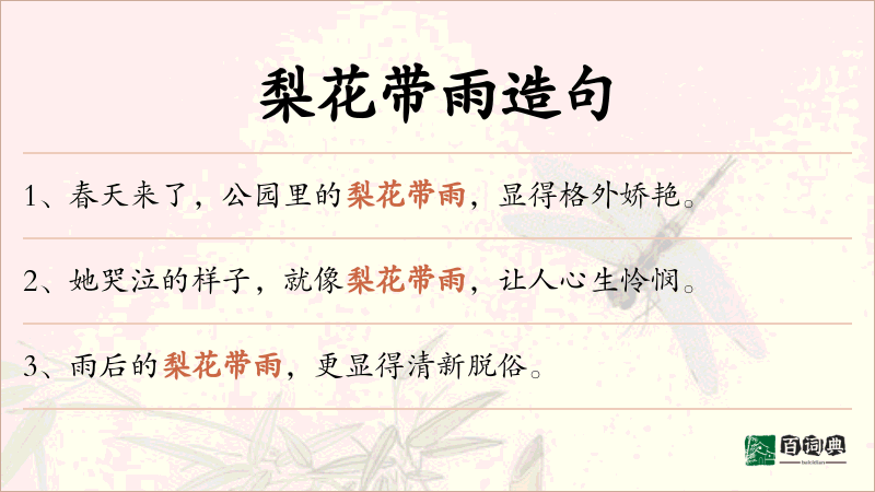 梨花带雨