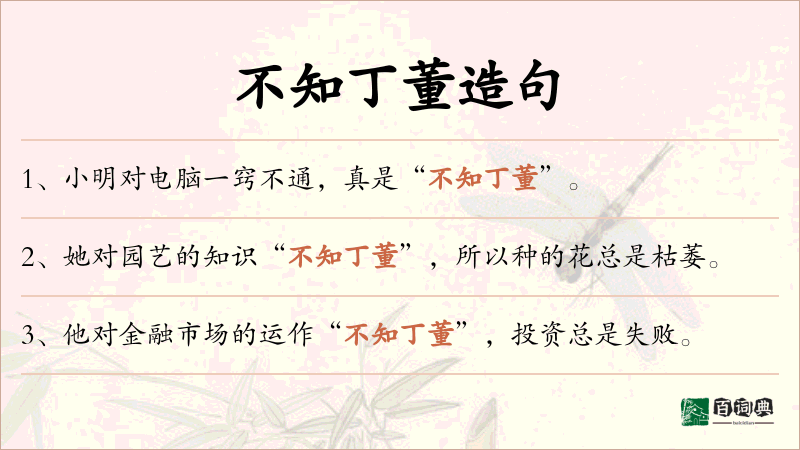 不知丁董