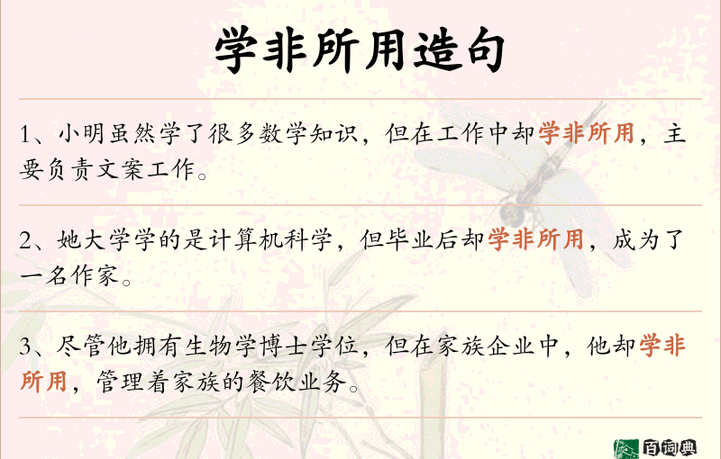 学非所用