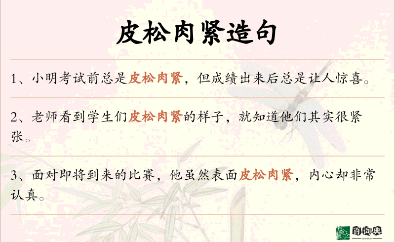皮松肉紧