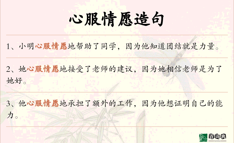 心服情愿