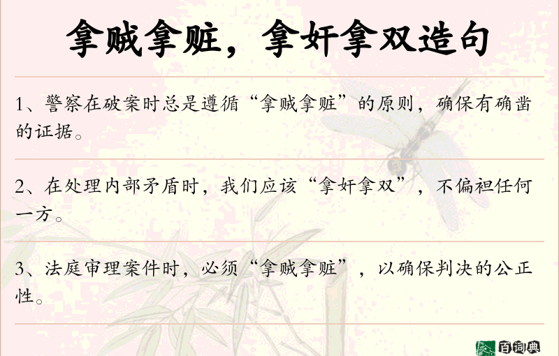 拿贼拿赃，拿奸拿双