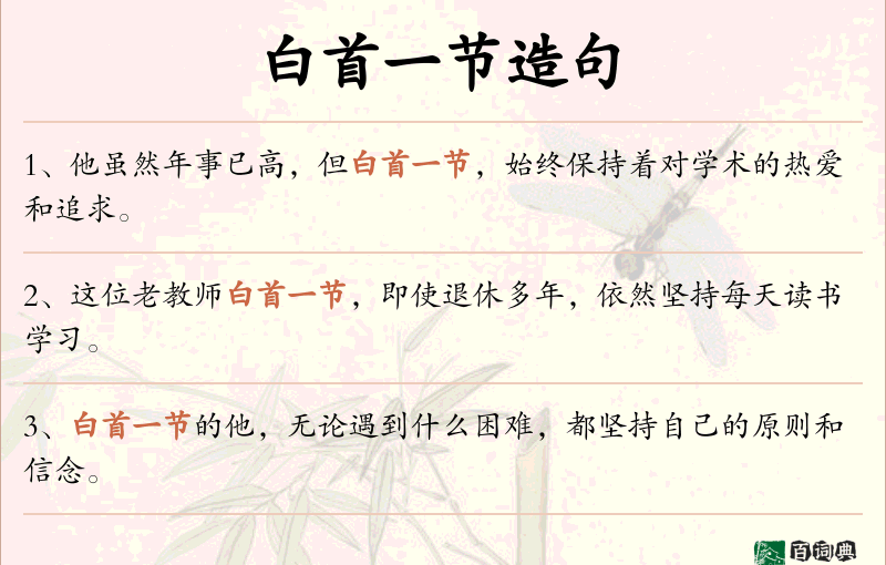 白首一节