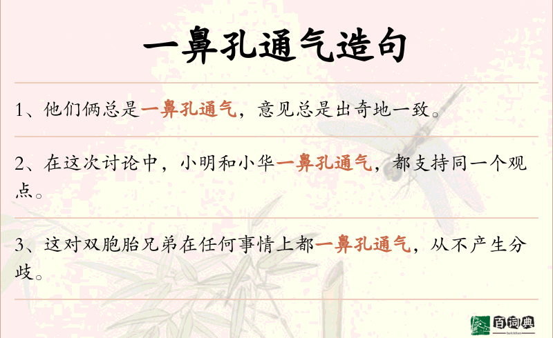 一鼻孔通气