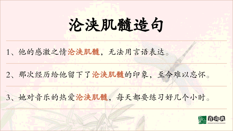 沦浃肌髓
