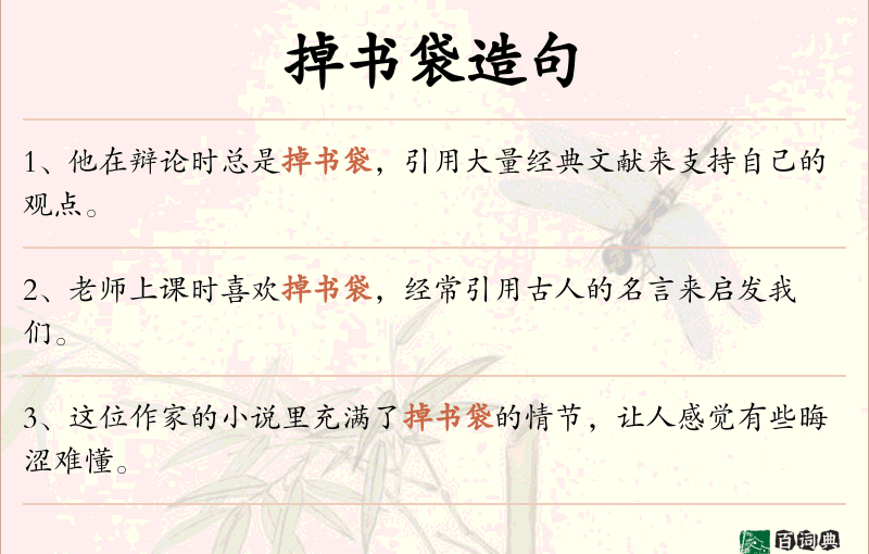 掉书袋