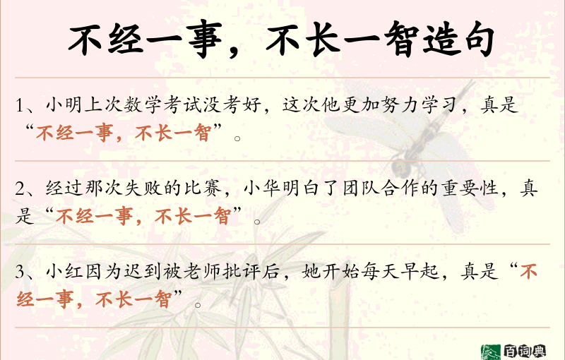 不经一事，不长一智