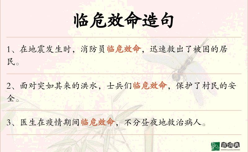 临危效命
