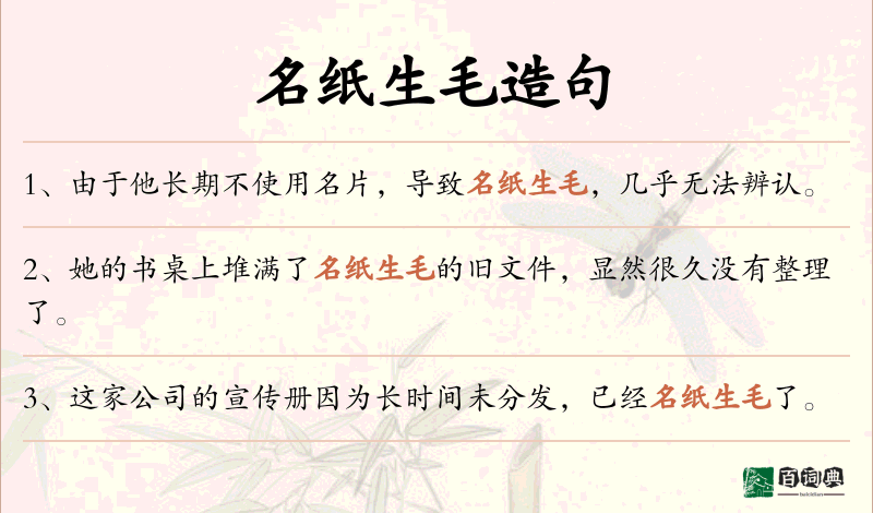 名纸生毛