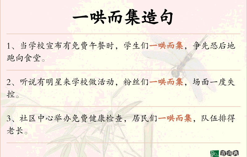 一哄而集