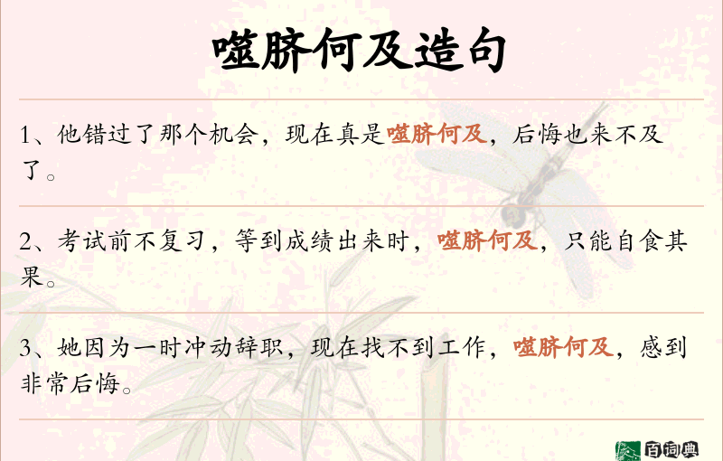 噬脐何及