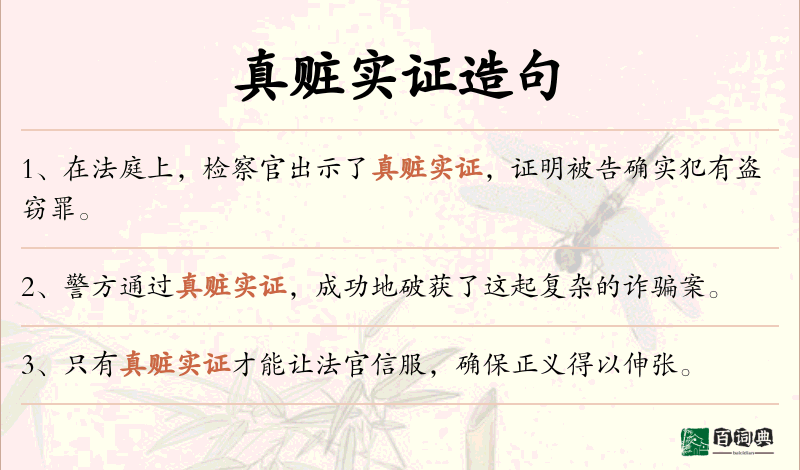 真赃实证