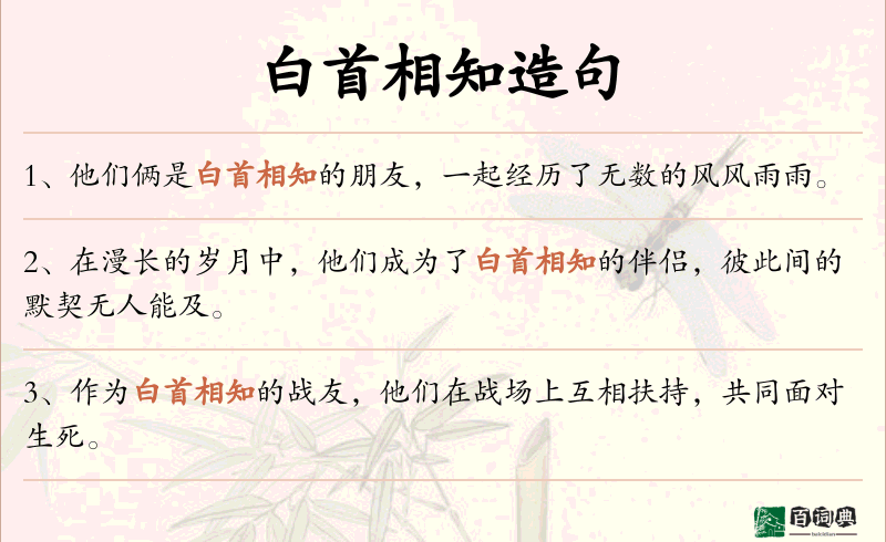 白首相知