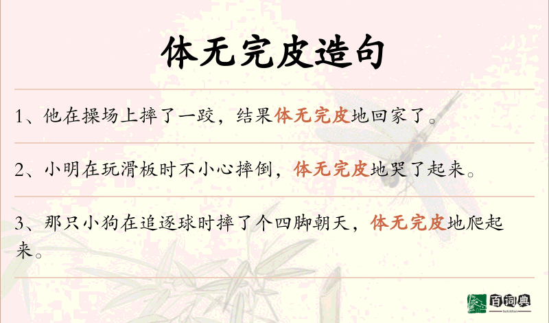 体无完皮