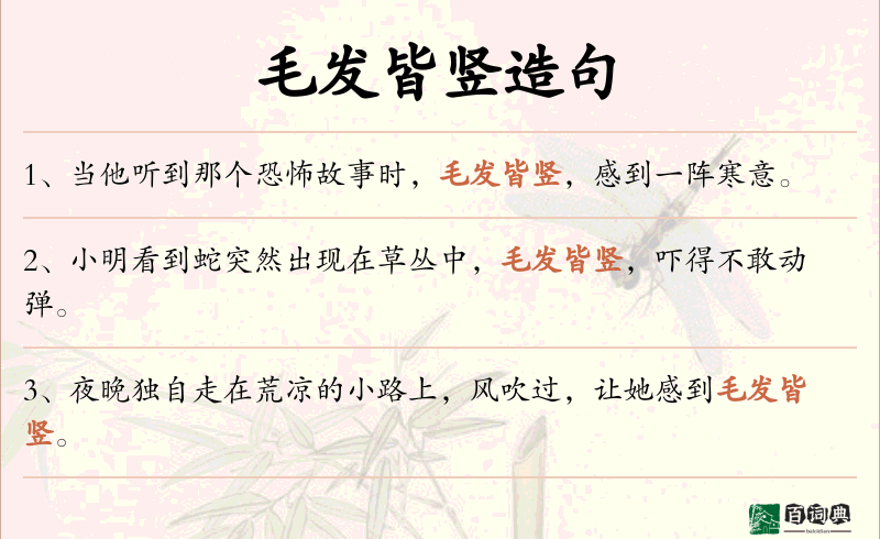 毛发皆竖