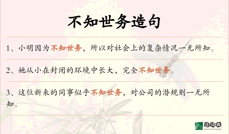 不知世务
