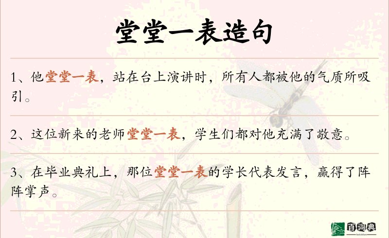 堂堂一表