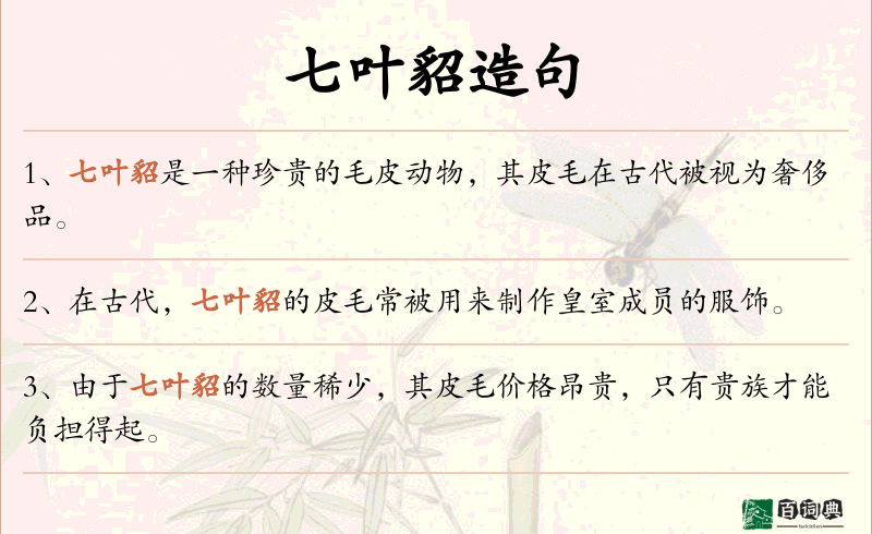 七叶貂