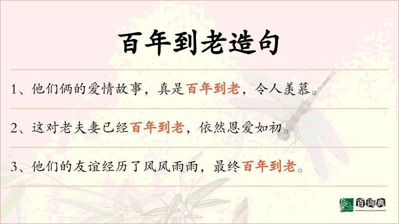 百年到老